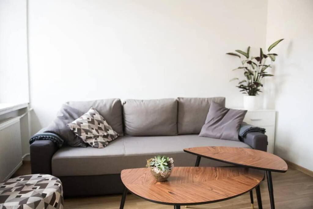 Apartment Loft In Front Of The Cathedral *