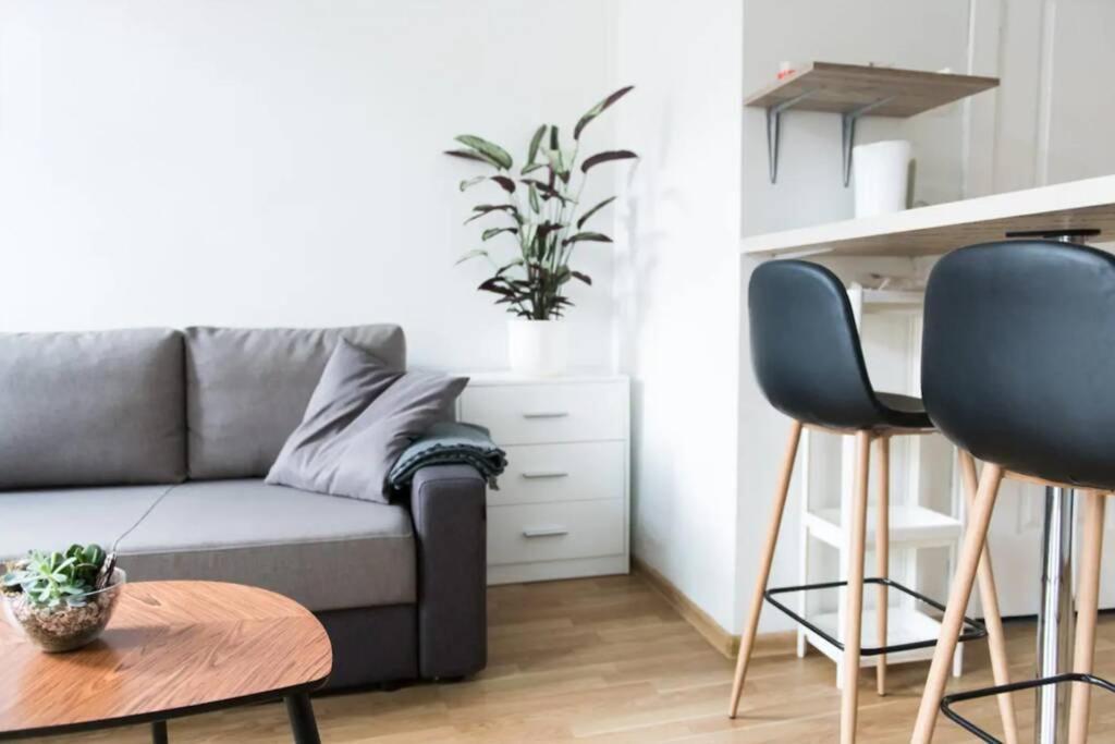 Loft In Front Of The Cathedral Huoneisto Vilna